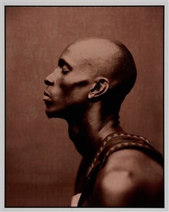 Image description is not available for 2023.063